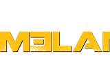 Homeland (TV series)