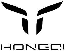 Hongqi new logo
