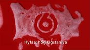 TV6 foam ident.jpg (91 KB) Foam