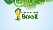 2014 FIFA World Cup