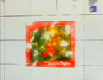 Ad break bumper (Winter 2002–2003)