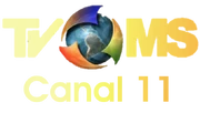 TVMS2003