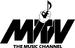 1980-1981 (pre-launch)