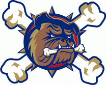 The team's alternate logo.
