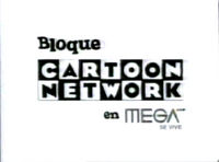 Cartoon Network's Special block (2003-2004)
