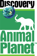 Discovery Animal Planet