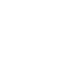 White variant, used as the news feed icon