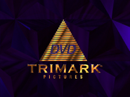 Secondary logo as Trimark DVD. Only used for DVD releases. The only difference is that the words "DVD" replace the profile of a tiger's head.