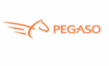 Pegaso