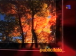 Ad break bumper (Autumn 2002–2003)