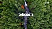 Teleberri 2025