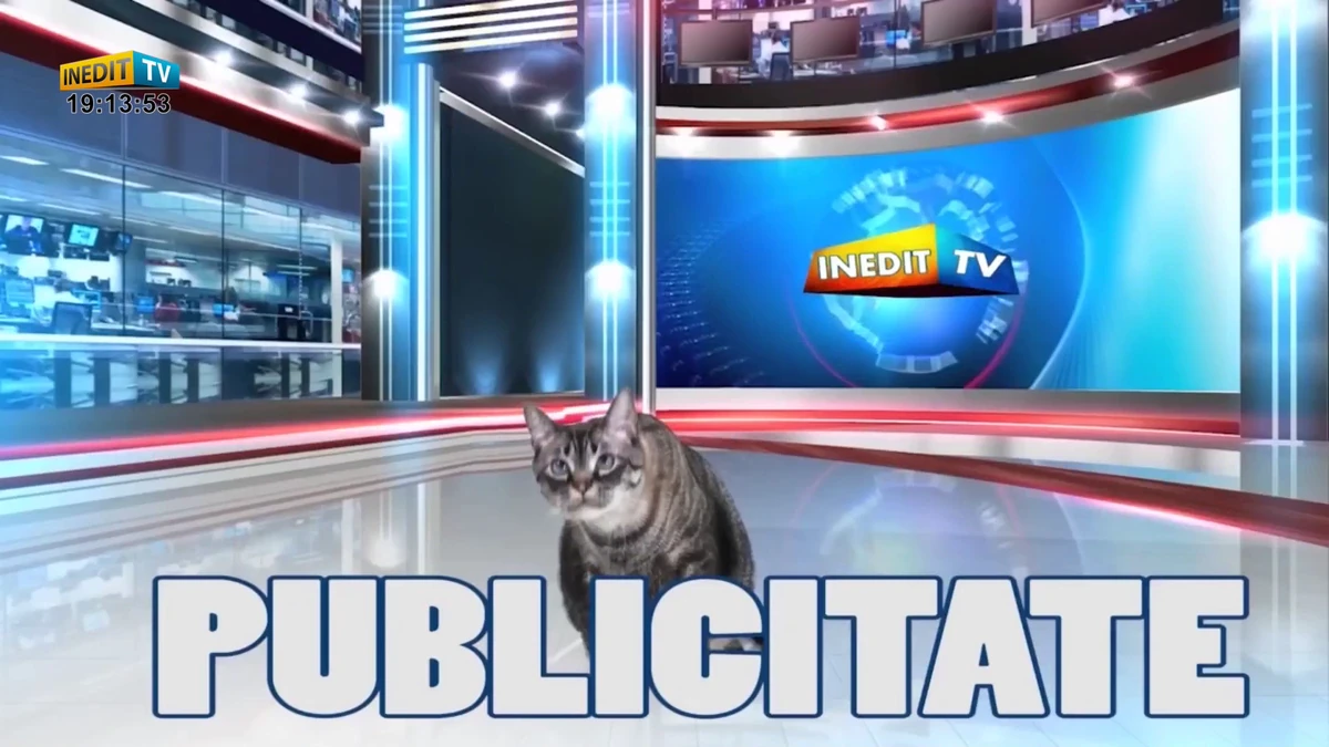 Inedit TV | Logopedia | Fandom
