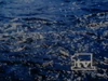 Network ID (waterstream) (1970-1987) Recorded in May 1986
