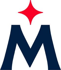 Minnesota Twins, Logopedia