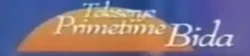 TeleseryePrimetimeBidaLogo