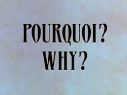 Why (Porquoi) logo