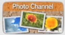 Screen Shot 2017-04-14 at 4.57.07 PM