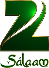 Zee Salaam 2011