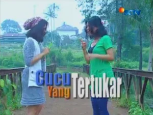 1Cucu yang tertukar