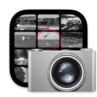 Apple Image Capture 2020