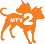 MTV2 2005 (Orange)