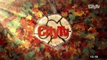 Station ID (Autumn)