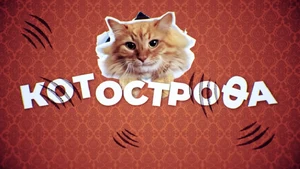 Kotostrofa (2023)
