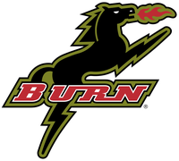 Dallas Burn logo