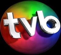 Logo tvb3d preto