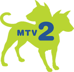 MTV2 2005 (Green and Blue)