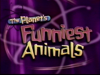The Planet s Funniest Animals Logopedia Fandom