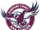 Sunshine Coast Falcons