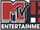 MTV Entertainment (TV channel)