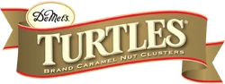 TURTLES LOGO
