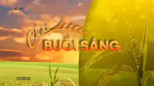 Ch3Fi s28VTV1282015-20172805h30% 29