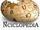 Inciclopedia