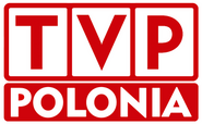 Logo used on station idents (2007-2014)