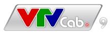 VTVCab 9