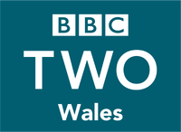 BBC Two Wales 2007