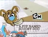 A Pup Named Scooby-Doo