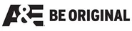 AE logo 131009145106.jpg (4 KB) Logo with the slogan "Be Original" (2013–2017)