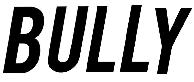 Bully (band) - Wikipedia