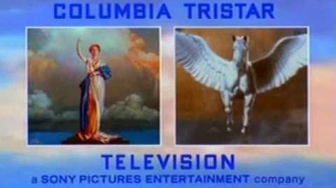 Columbia TriStar Television logo (2001-A)