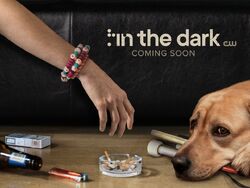 In the Dark titlecard