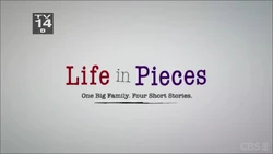 Life in Pieces