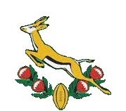 springbok logo protea
