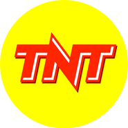 Logo used by TNT (US) (1988-1990)