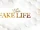 The Fake Life