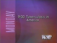 Wswp-promo-1995.jpg (203 KB) Promo slide (1995)