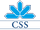 CSS (insurance company)